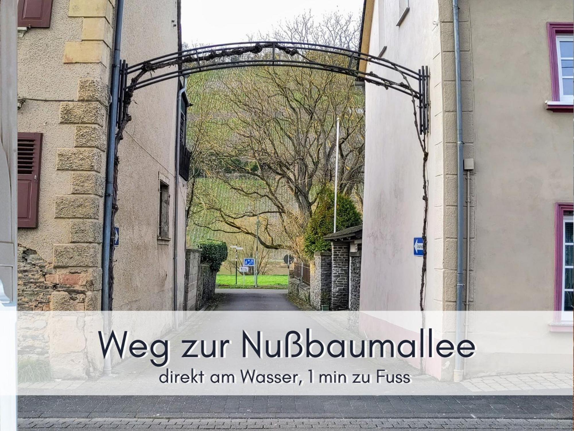 Komfort Fewo L Moselstay L Maximal 4 Personen Und Baby I Brauneberg Mosel I Wifi I Kültér fotó
