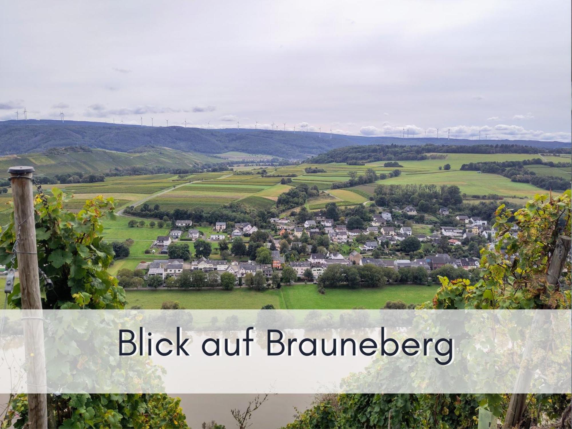 Komfort Fewo L Moselstay L Maximal 4 Personen Und Baby I Brauneberg Mosel I Wifi I Kültér fotó